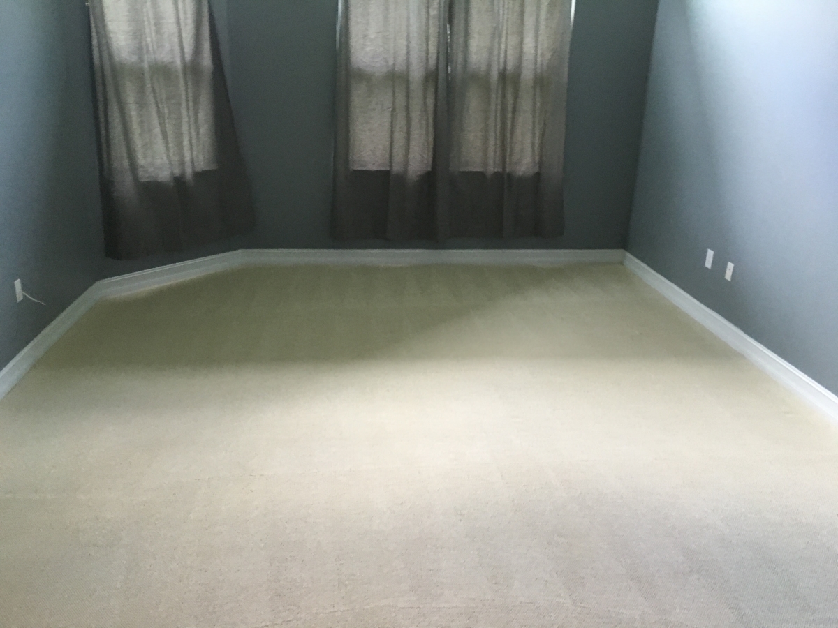 Prime Steamers - Carpet Cleaning Coral Springs 3 954-496-2289